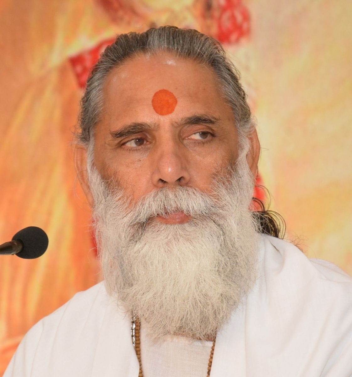 Make Geeta the song of life: Gyananand