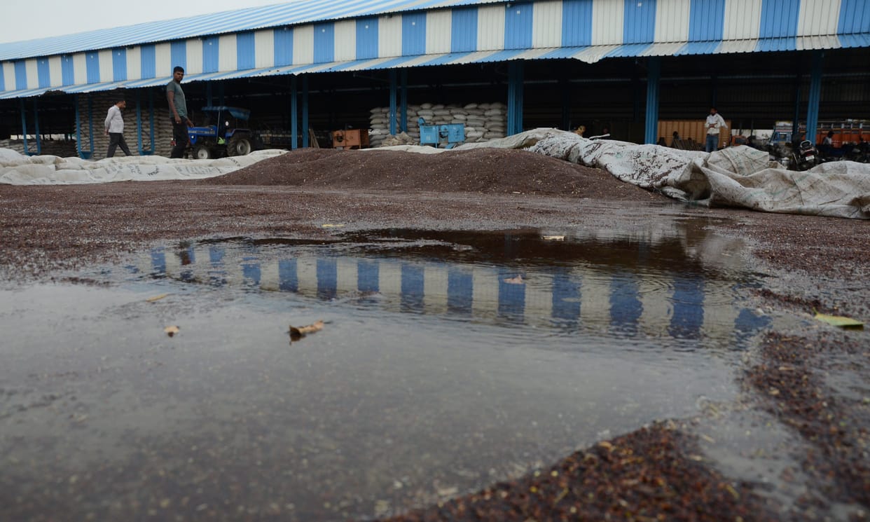 farmers, crops, wet in rain, mandi