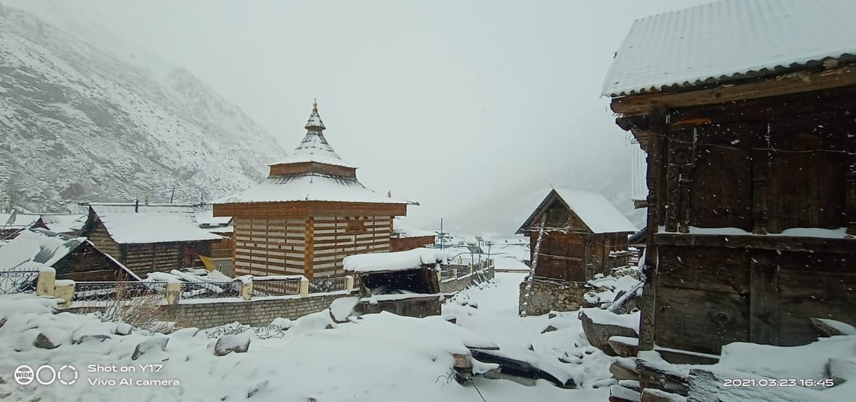 rampur news snowfall rain in rampur aani kinnaur