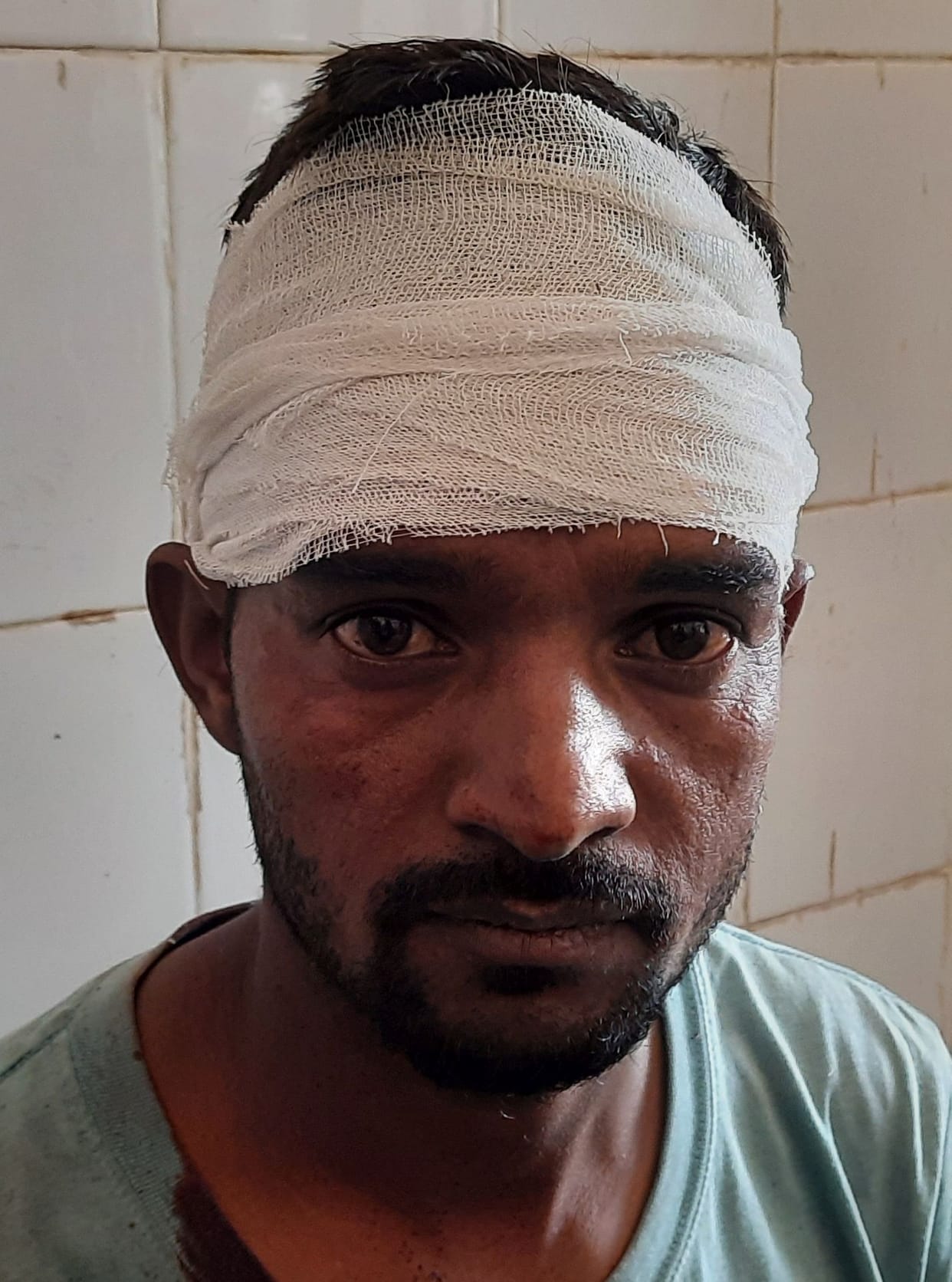 Ateck by Leopard in Pithauragarh