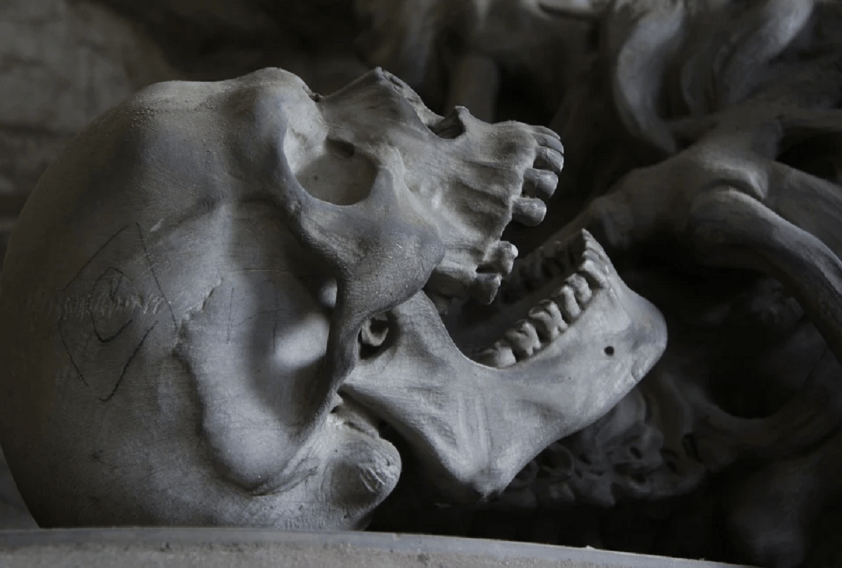 humans skeletons found in a van at India Nepal border near Arariya