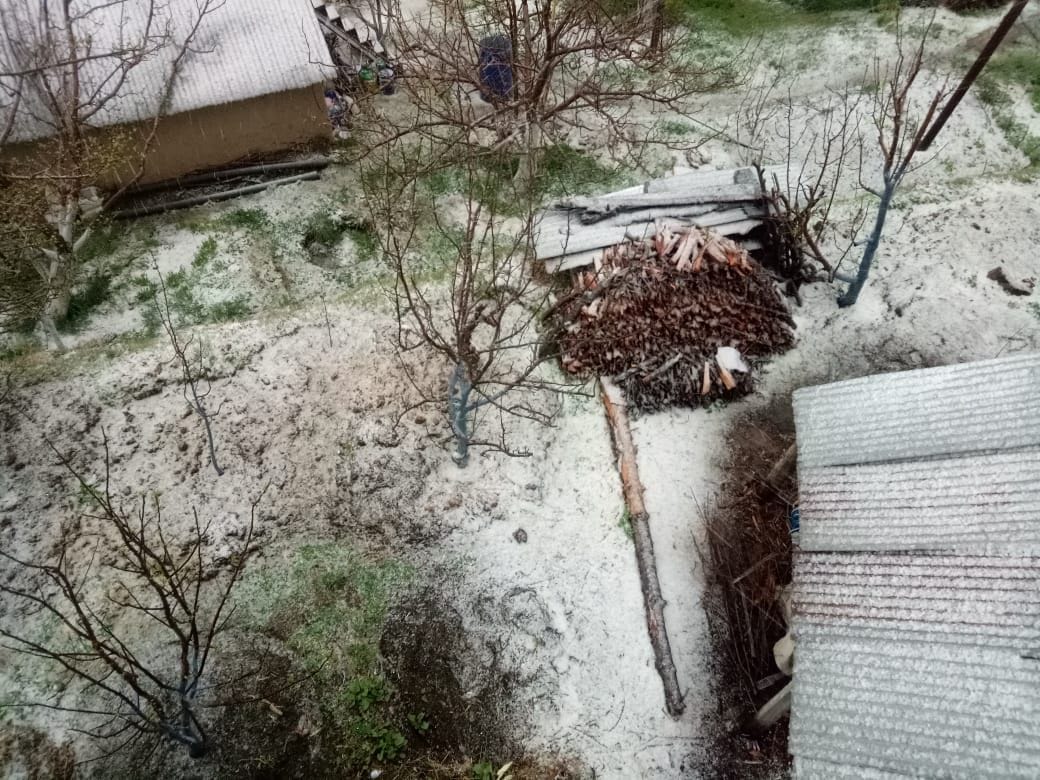 hail strom in rampur and narkanda