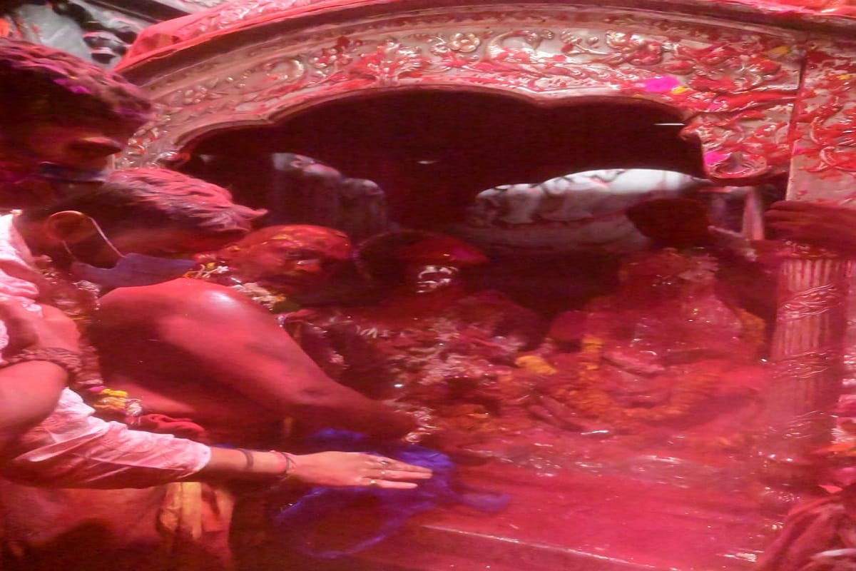 Rangabhari Ekadashi: Shiva family set out on a palanquin in Kashi celebrate Holi