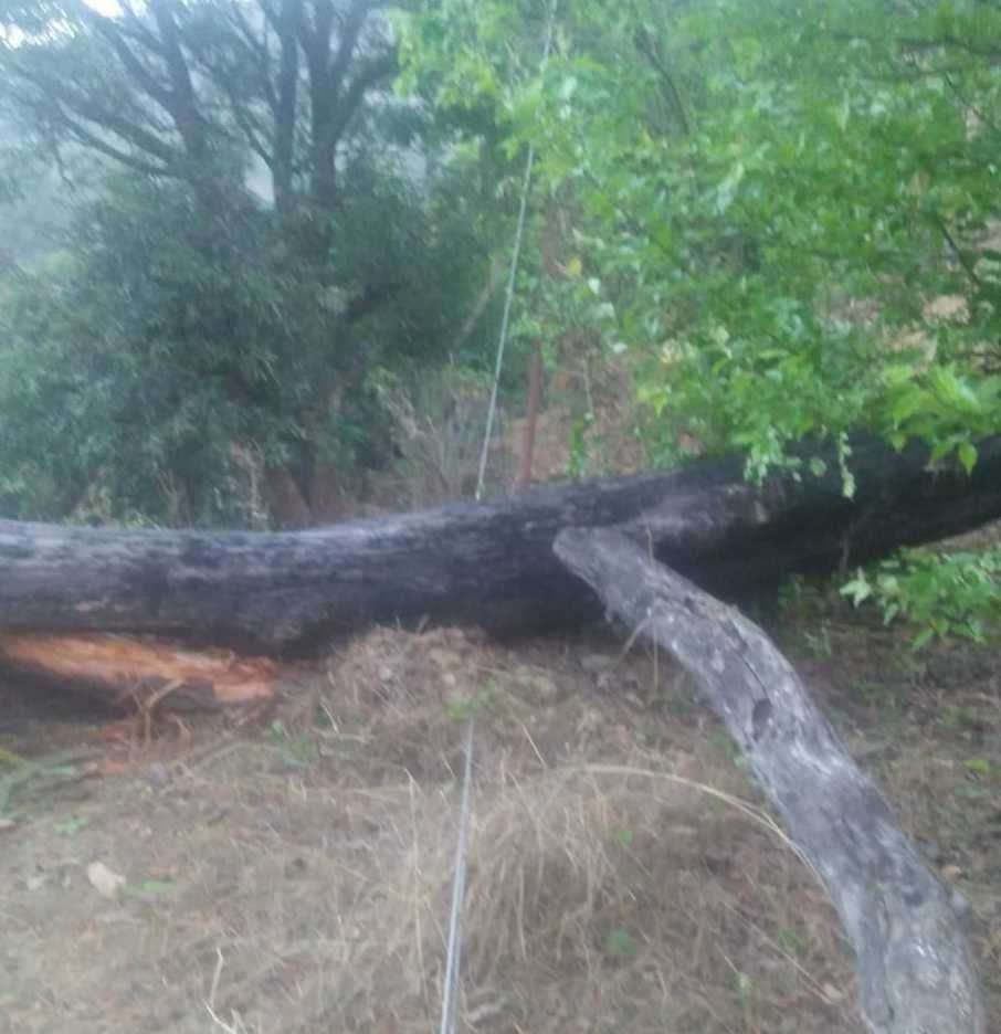 electric crisis due to Lightning