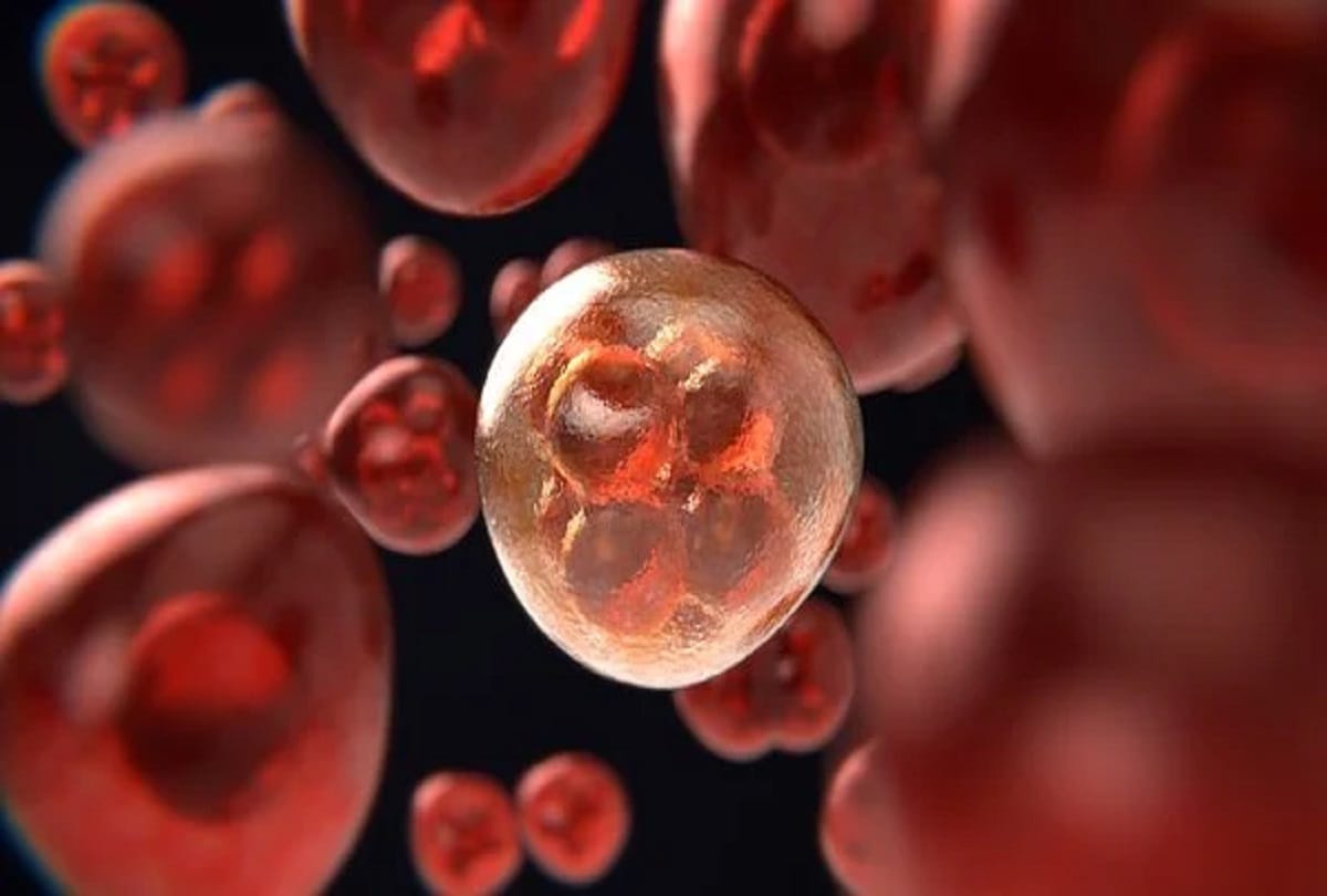 according to csir research paper People with AB and B blood groups should take more precautions to avoid coronavirus