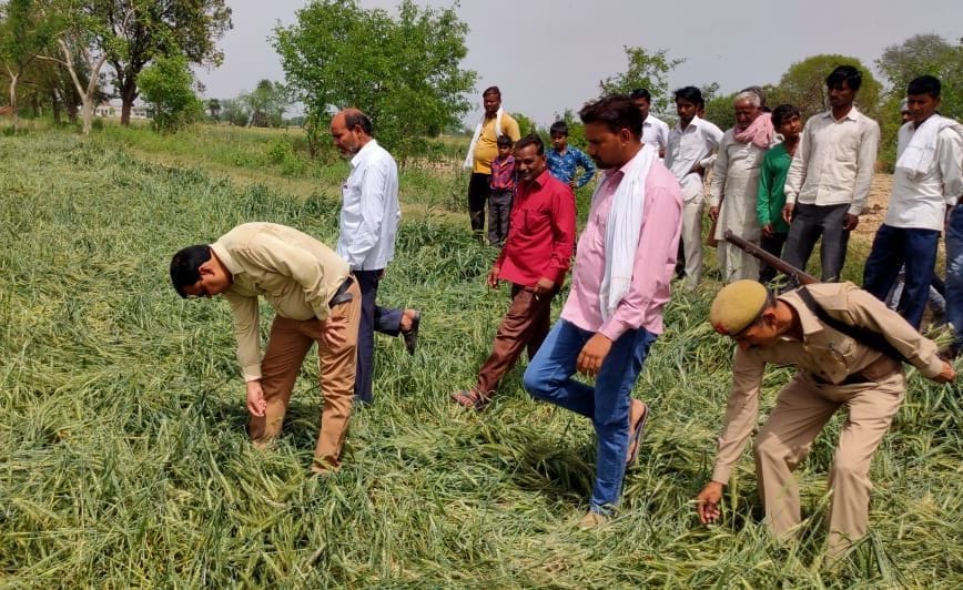 15 percent crop in Jalesar wasted due to hailstorm