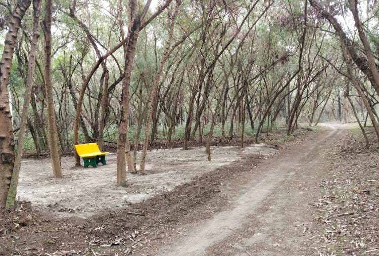 Wildlife Department will Developed Kathlour Wildlife Sanctuary of Pathankot