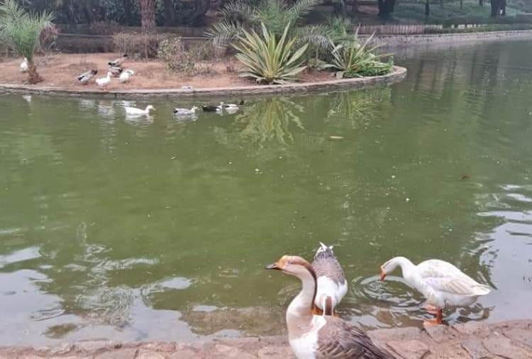 Wildlife Department will Developed Kathlour Wildlife Sanctuary of Pathankot