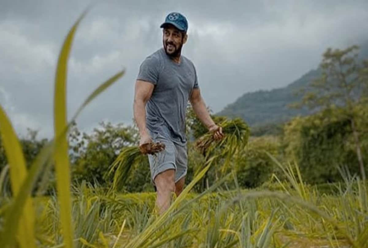 saif ali khan to shilpa shetty and salman khan owning beautiful gardens growing plants