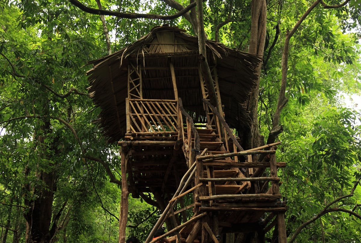 these are amazing tree house in india