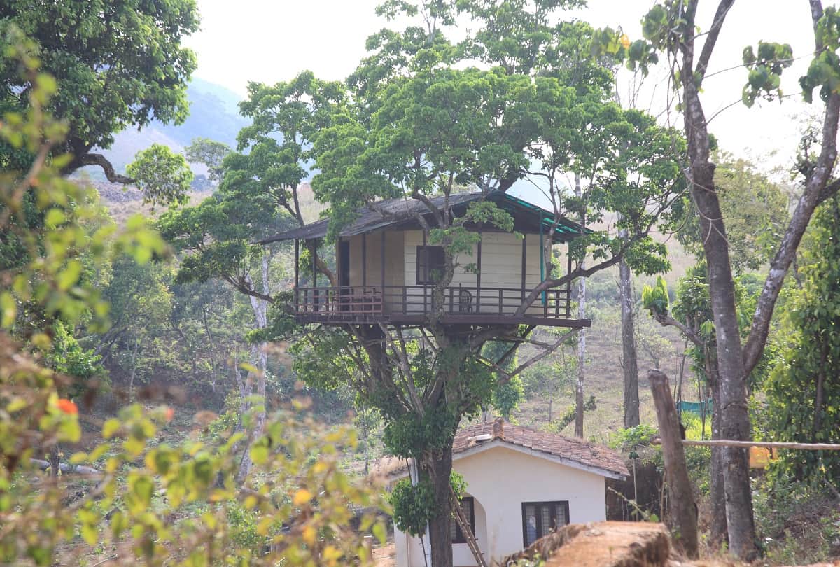 Vastu tips to avoid poverty and attract prosperity