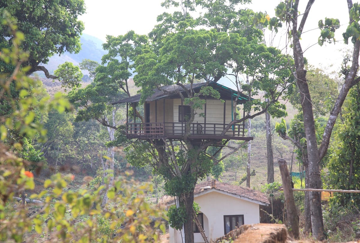 these are amazing tree house in india