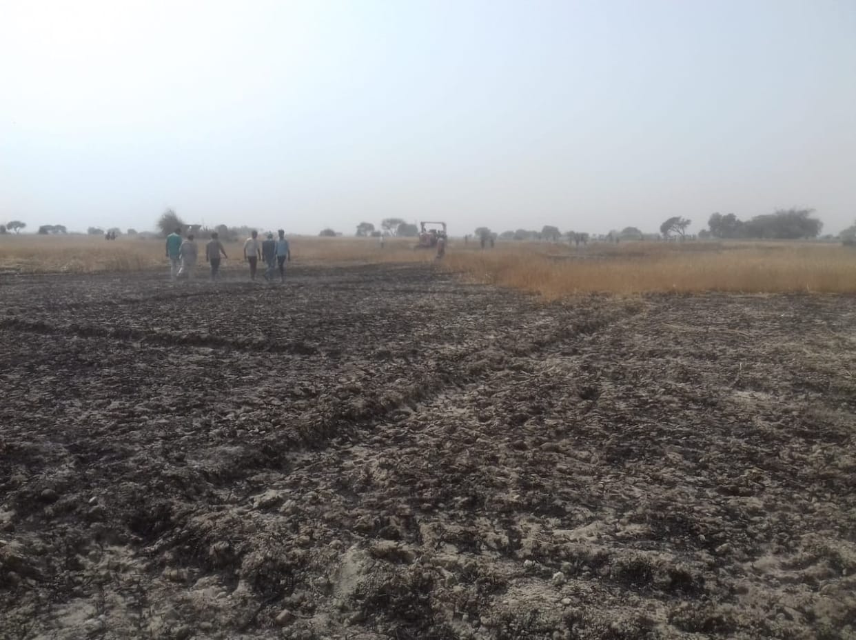 12 bigha wheat crop destroyed in fire