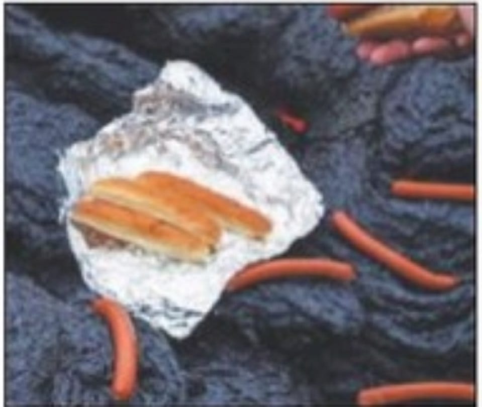 Scientists cooked hotdog on the volcano, video viral on social media