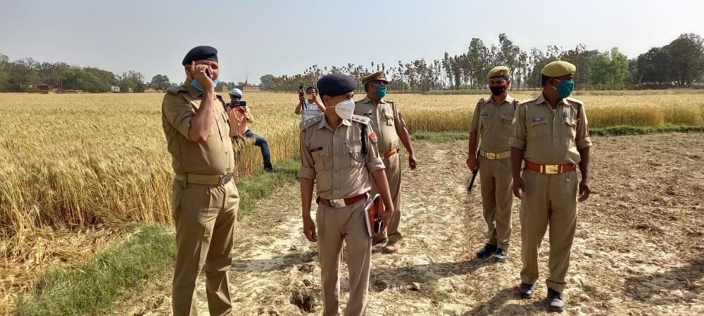 dead body found in wheat field