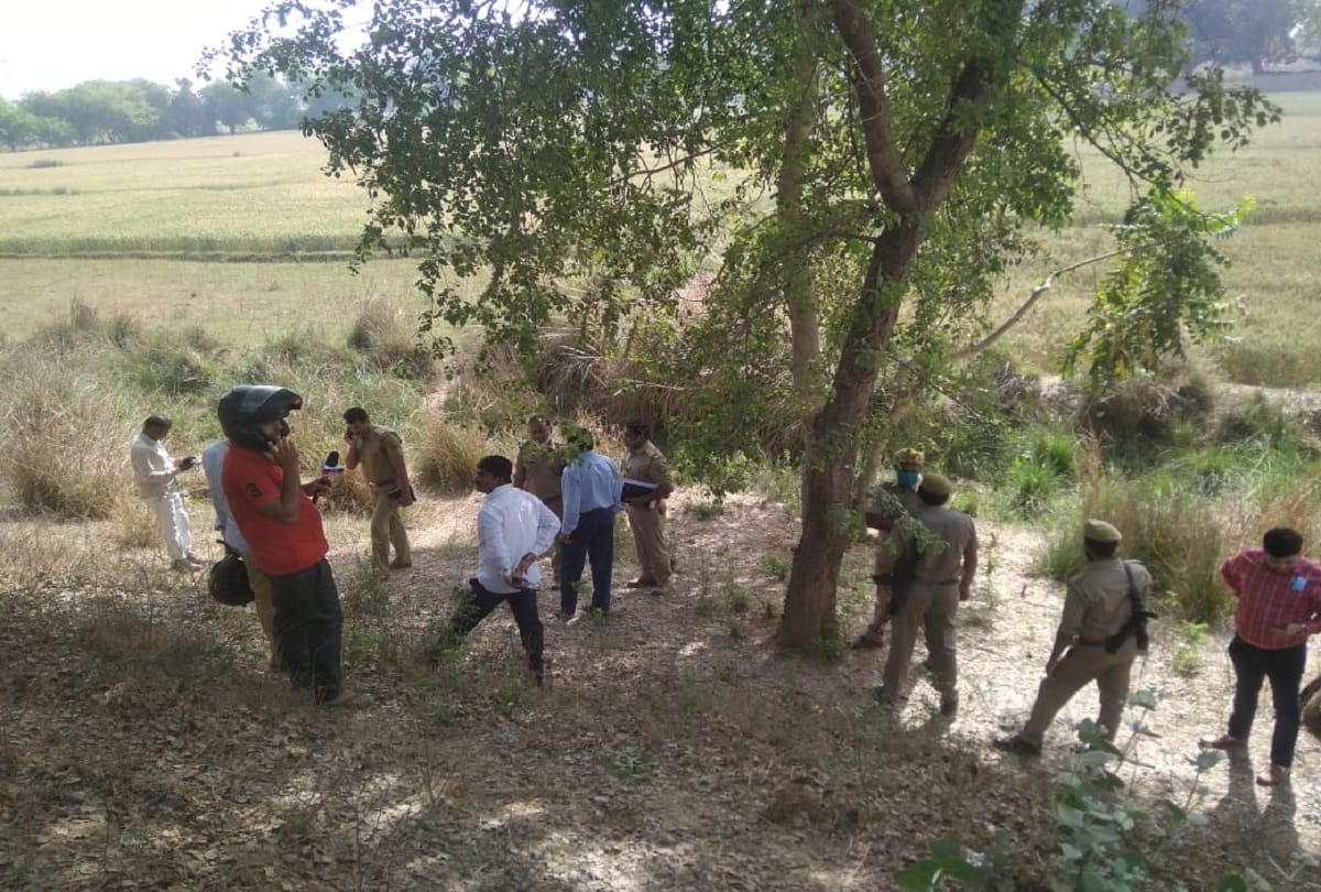 Wife found dead on ground, husband's body found hanging on tree