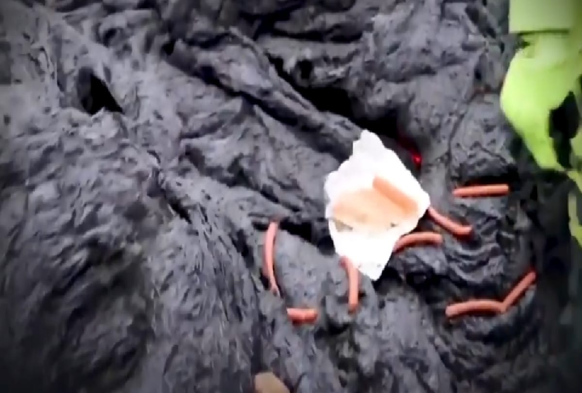 scientist cooked hotdog on the lava of iceland volcano