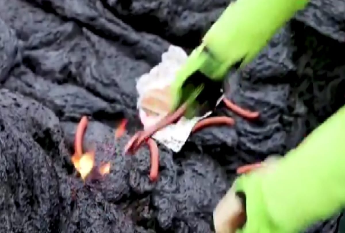 scientist cooked hotdog on the lava of iceland volcano