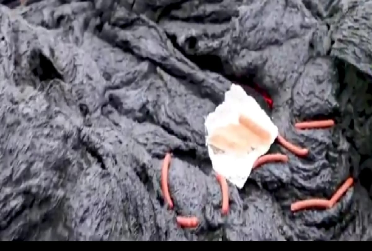 scientist cooked hotdog on the lava of iceland volcano