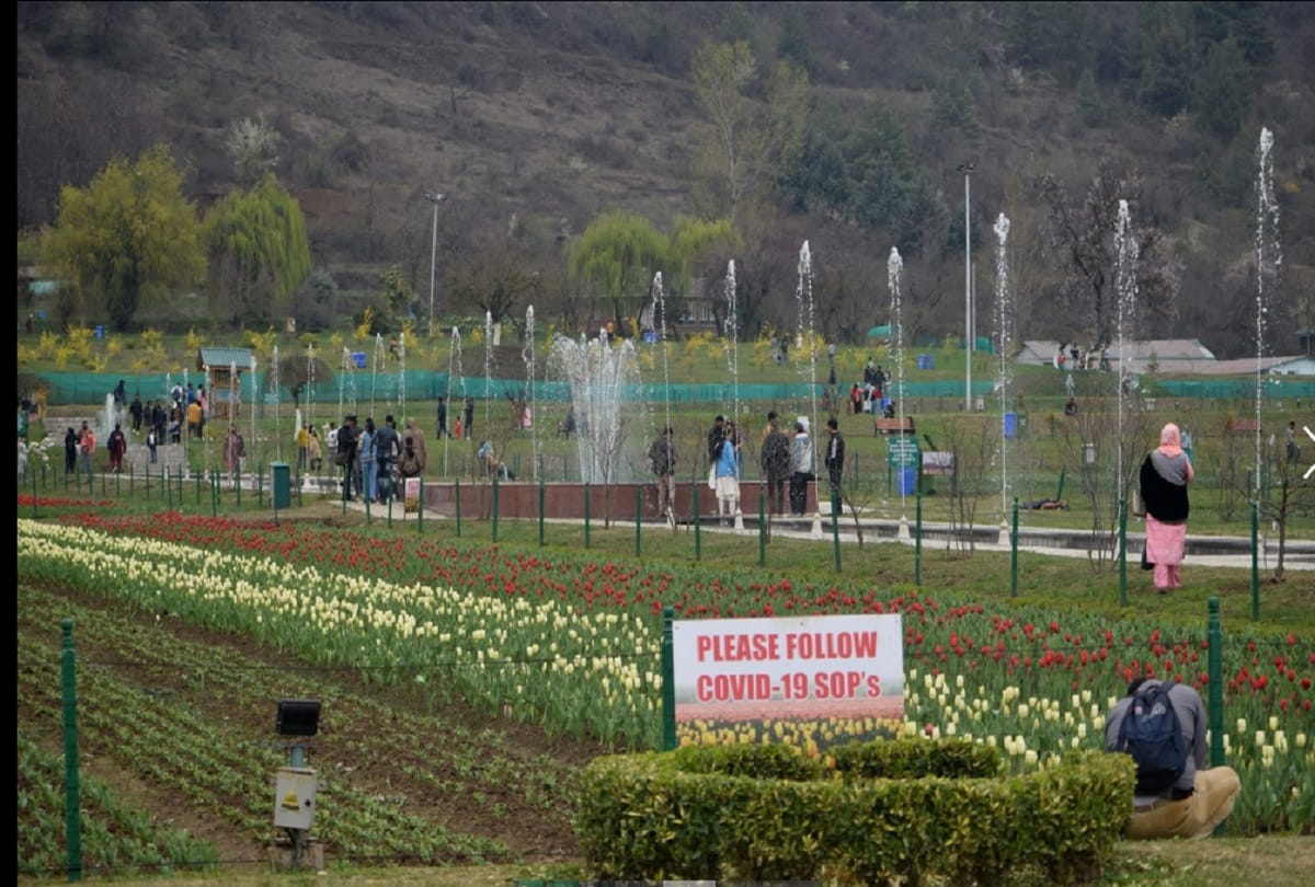 Jammu and Kashmir: Only hundred people will enter Tulip Garden at a time, have to follow these rules