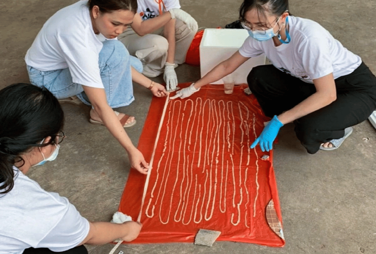 thailand 59 feet long tapeworm removed from mans rectum
