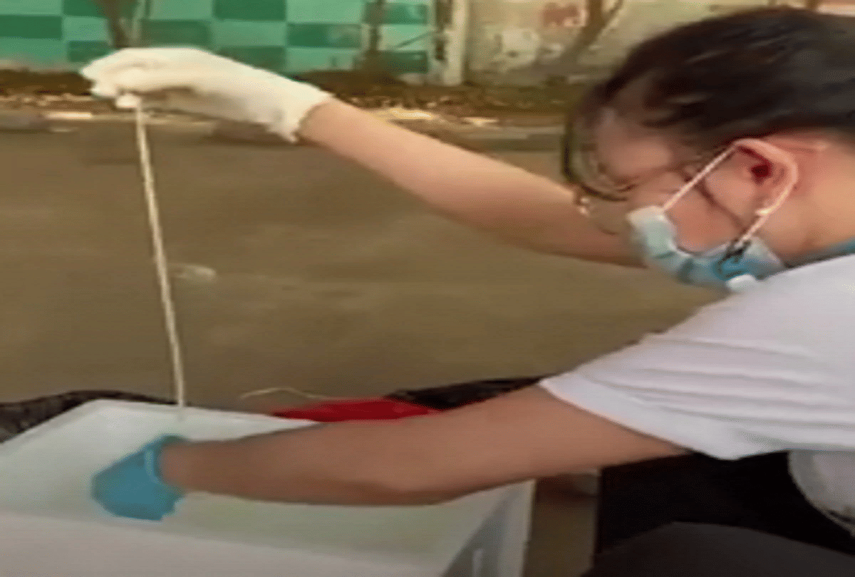 thailand 59 feet long tapeworm removed from mans rectum
