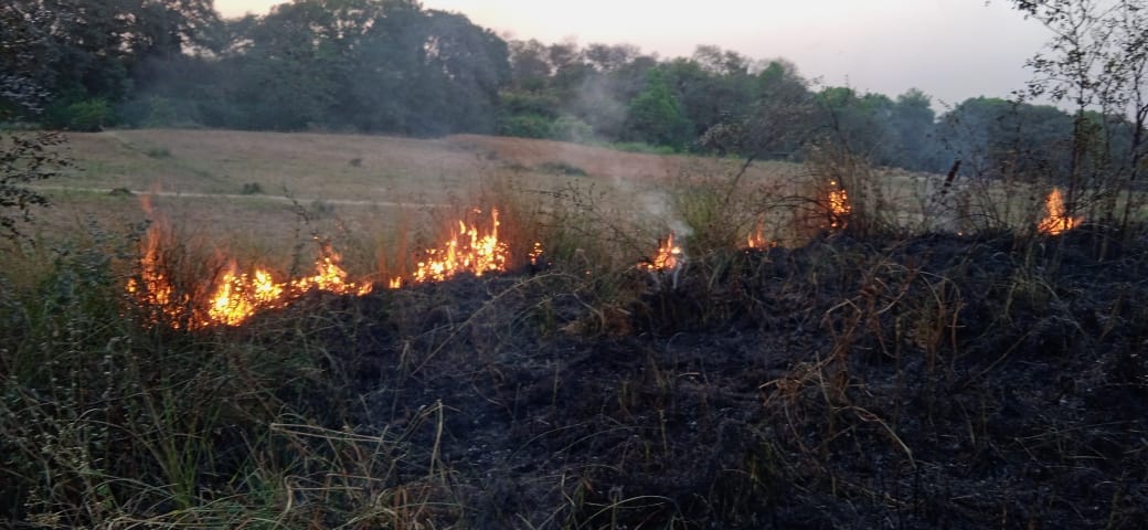 About 70 bigha crop of arhar burnt to ashes due to fire, Two dozen farmers suffered heavy losses
