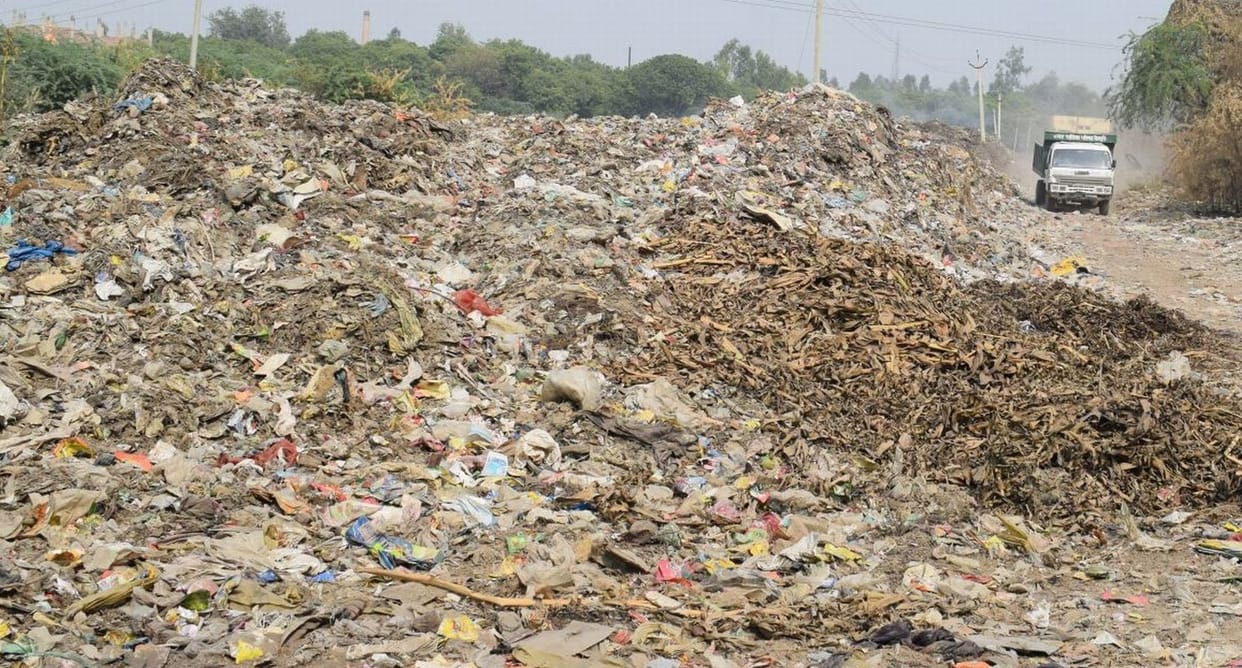 Economic crime research branch will investigate irregularities in garbage disposal