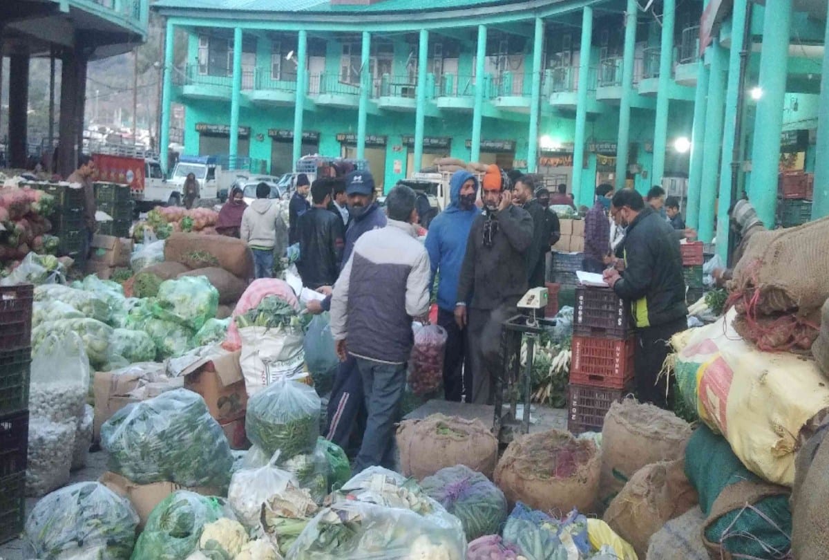 Himachal pea prices fell due to farmer movement