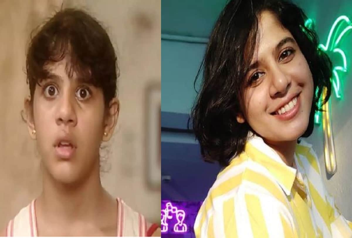 Master Raju to Baby Guddu these actors earned huge popularity as child artist now stay away from limelight