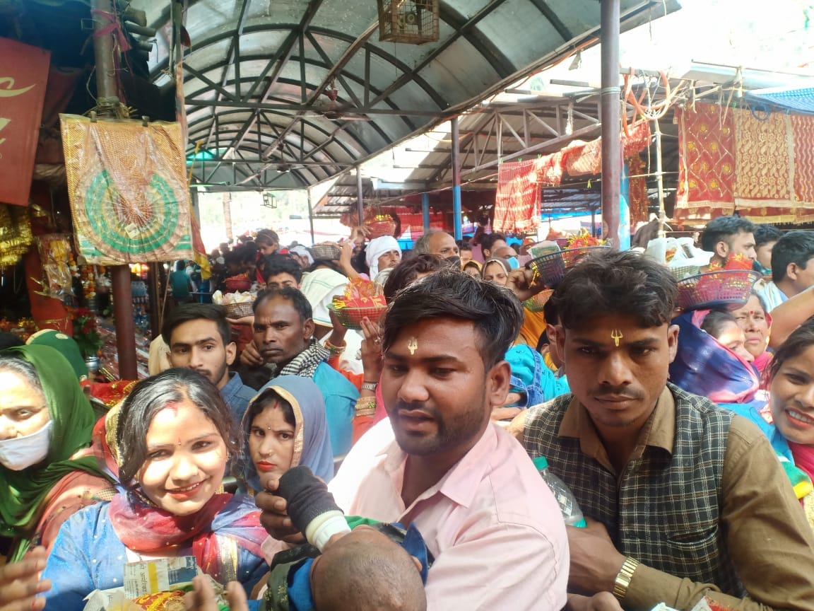 Devotees appeared in line to see Maa Shakambhari