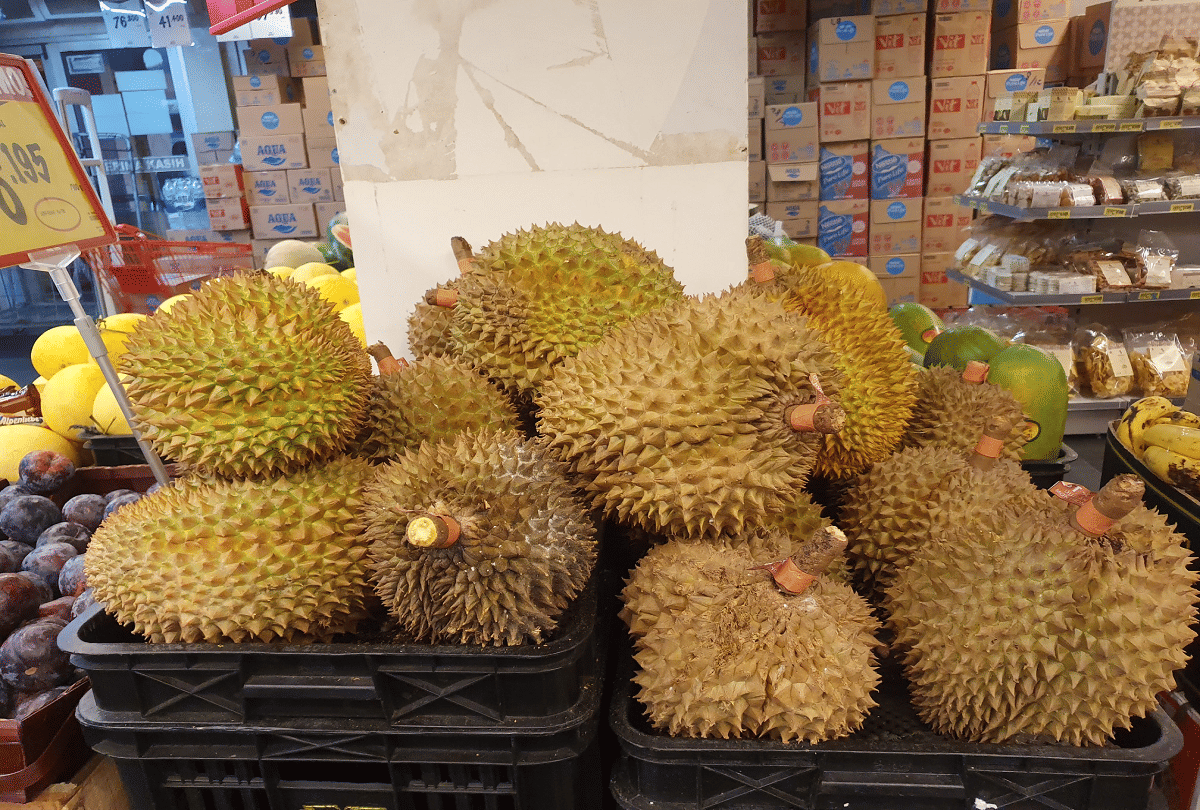 singapore scientist developed antibacterial gel bandage by durian husk fruit which looks like jackfruit