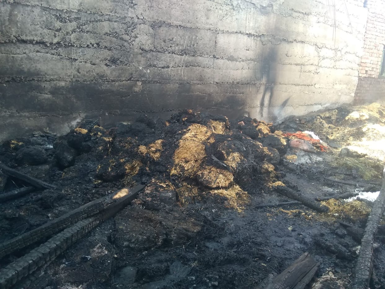 mashroom shed on fire