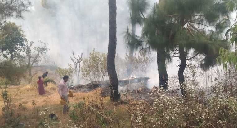 Fire in the forest of Kafligar