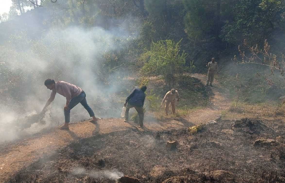 Forest fire became trouble in Bageshwar