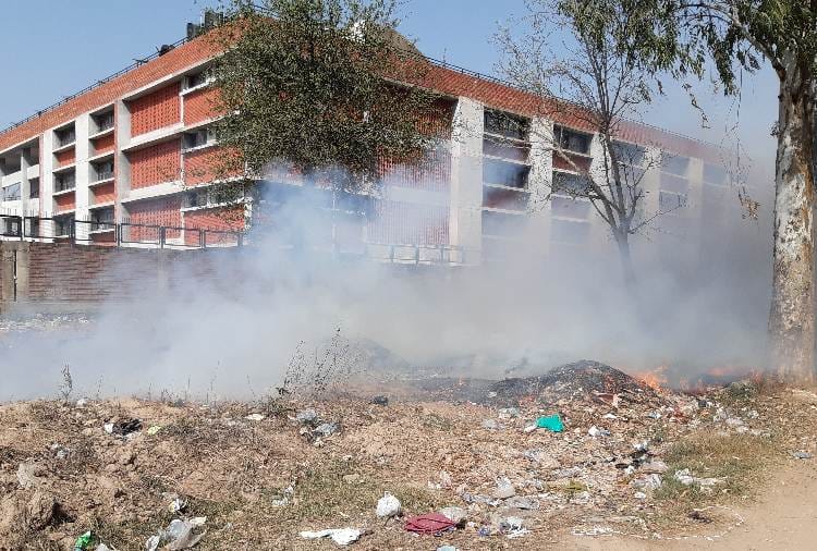 Chandigarh Nagar Nigam employees burnt dry leaves