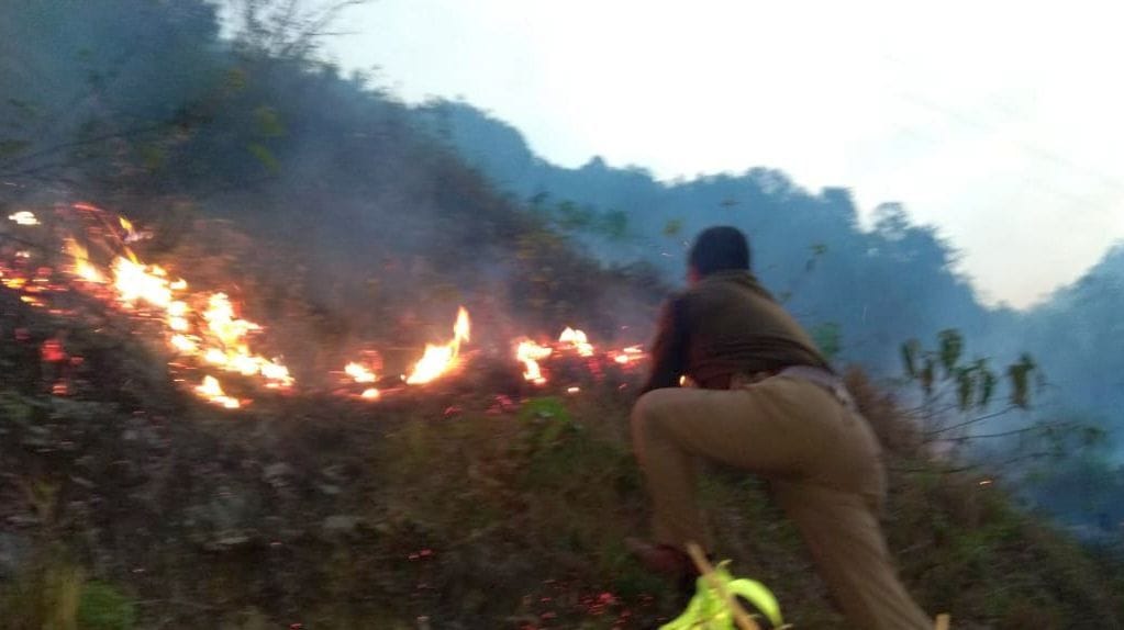 Forest Fire in Baram