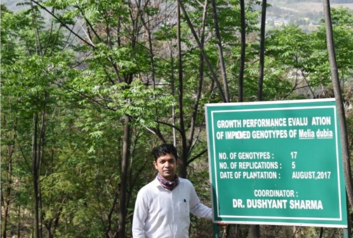 Malabar Neem Cultivation in Himachal Pradesh trial success on Horticulture college Neri