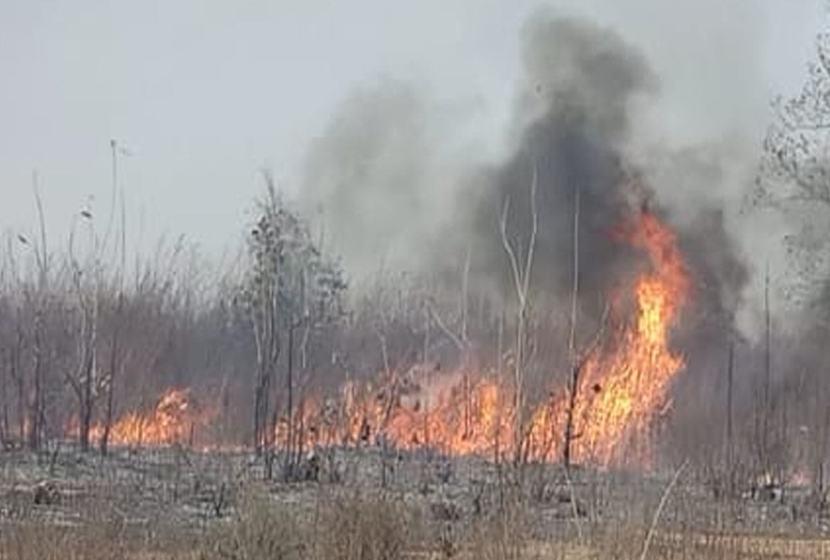 fierce fire in the forest in Chitrakoot