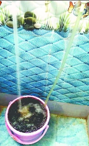 Even Holi is not free from dirty water