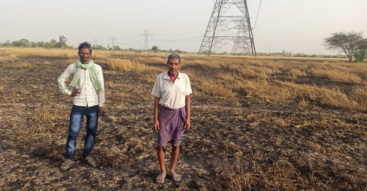 70 bigha crop burnt due to spark of power line