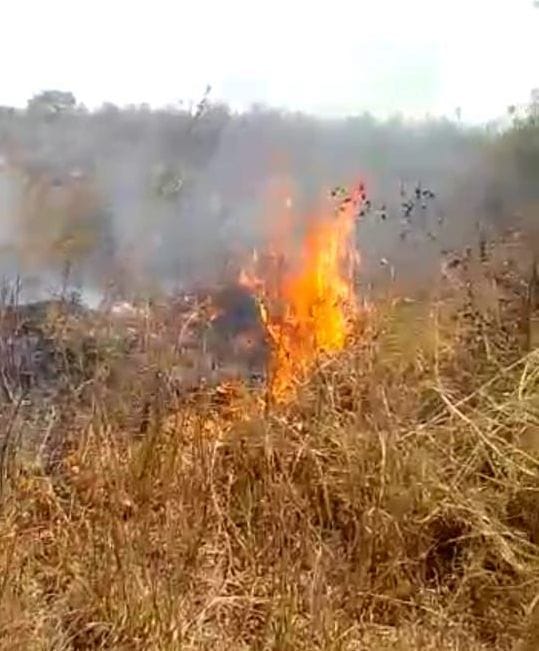 village,fire,police,forest,DFO