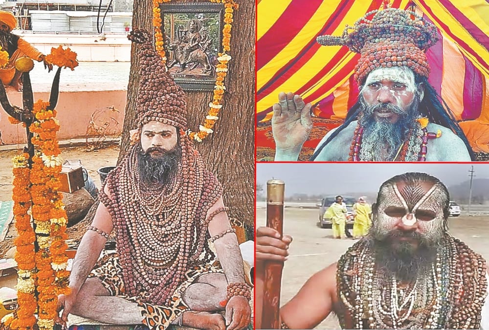 Haridwar Mahakumbh 2021: Naga Saints Different Makeup Photos