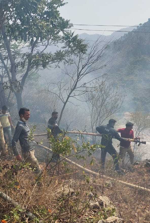 Forest fire reached DM office