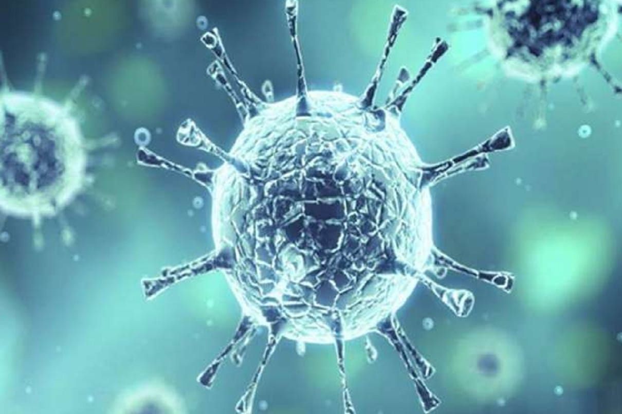 District becomes corona free, no more active case after infected woman recovers