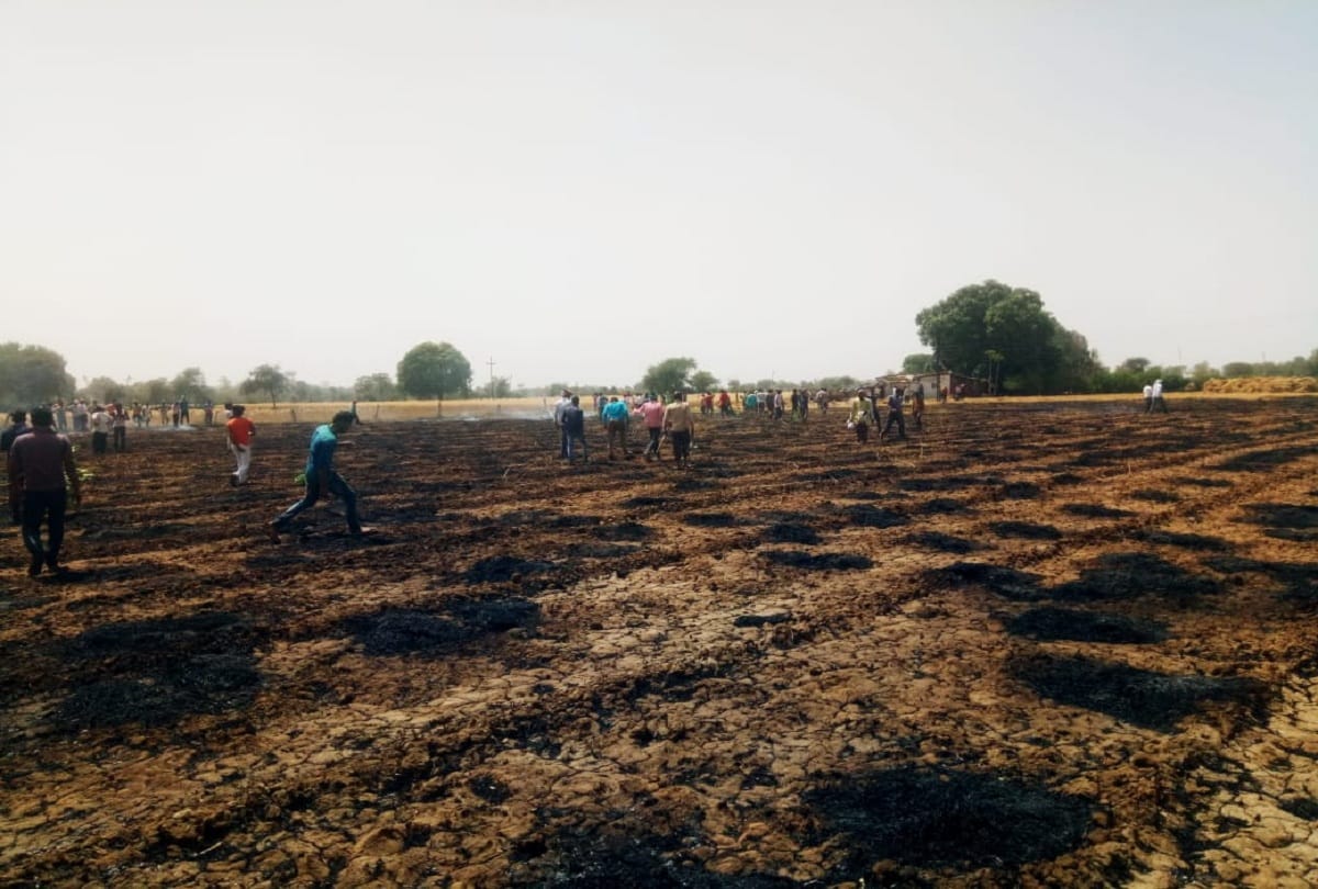 Fire in fields due to short circuit in Jhansi