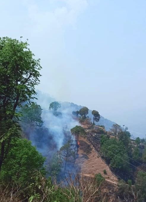 Forest Fire in Askot