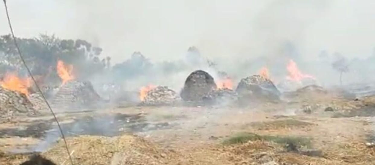 Flames blazed with strong wind throughout the day