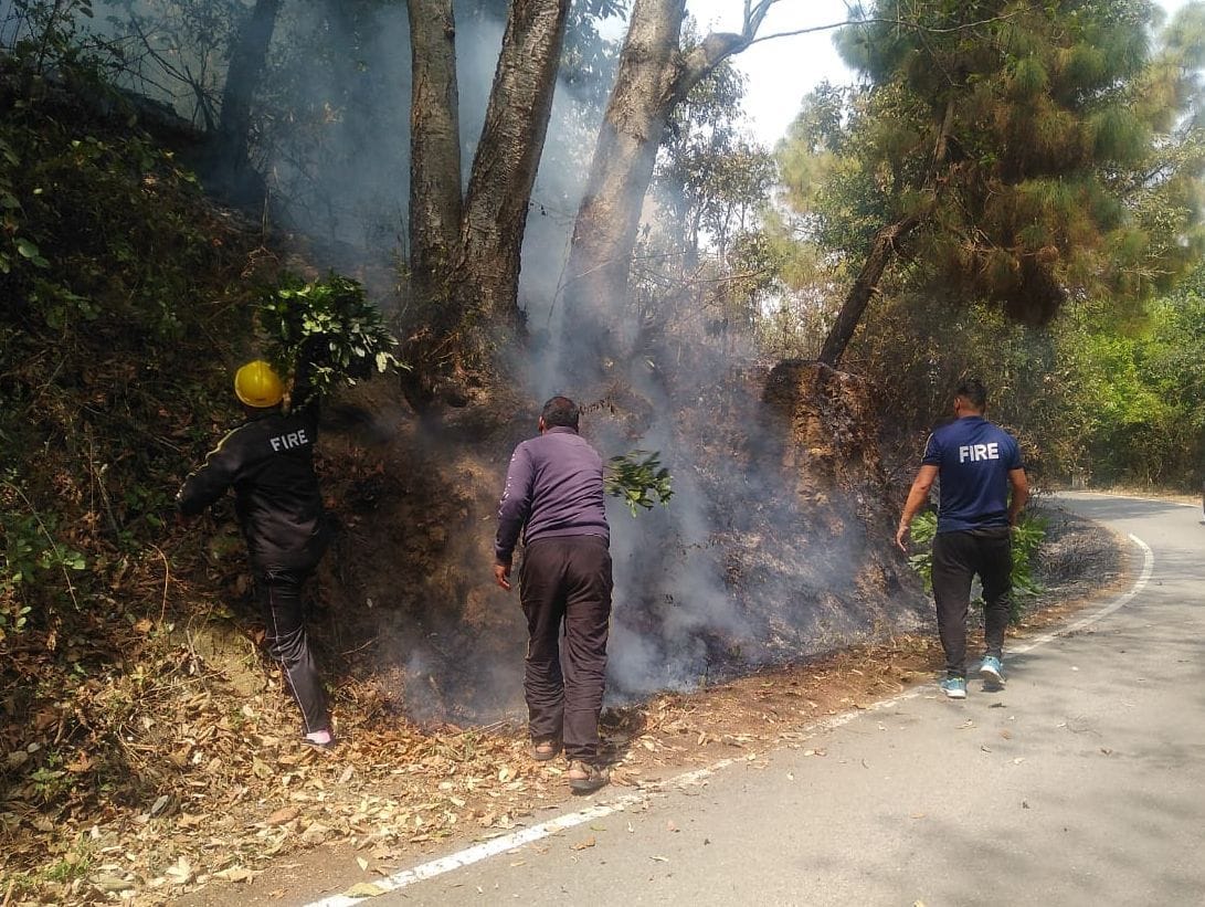 Jungle of Forti, Jhumadhuri, Harkheda burnt