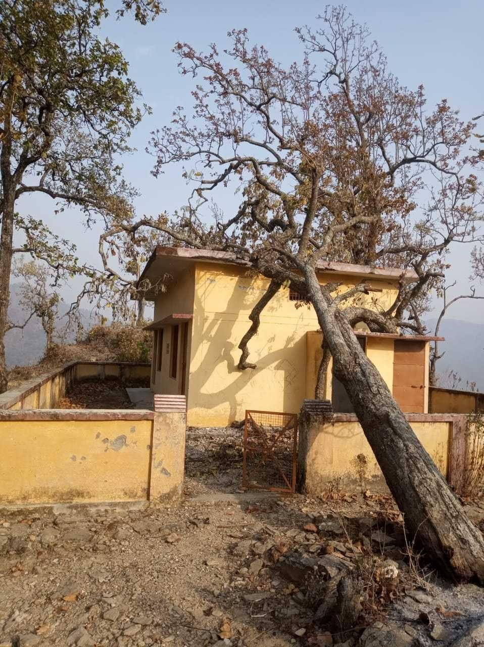 Tree fell on public meeting center